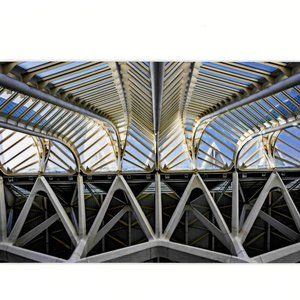 Bones Of The Science Museum Valencia Spain 6x9 Mated Photographic Art Print +COA